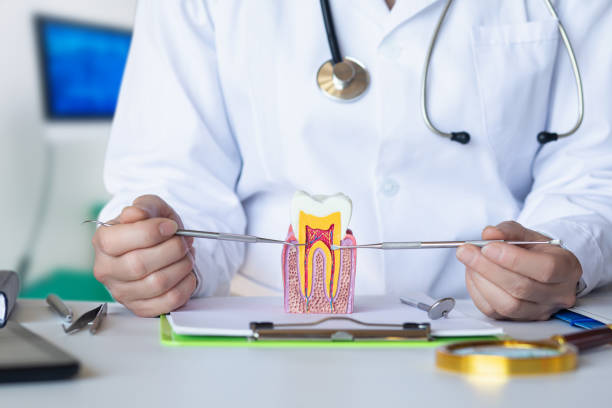 Best Emergency Root Canal Treatment in Rushvle, IL